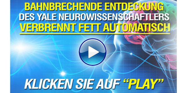 https://kursnerd.de/go/neuro-schlank/