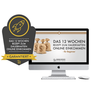 In 12 Wochen zum Nebeneinkommen